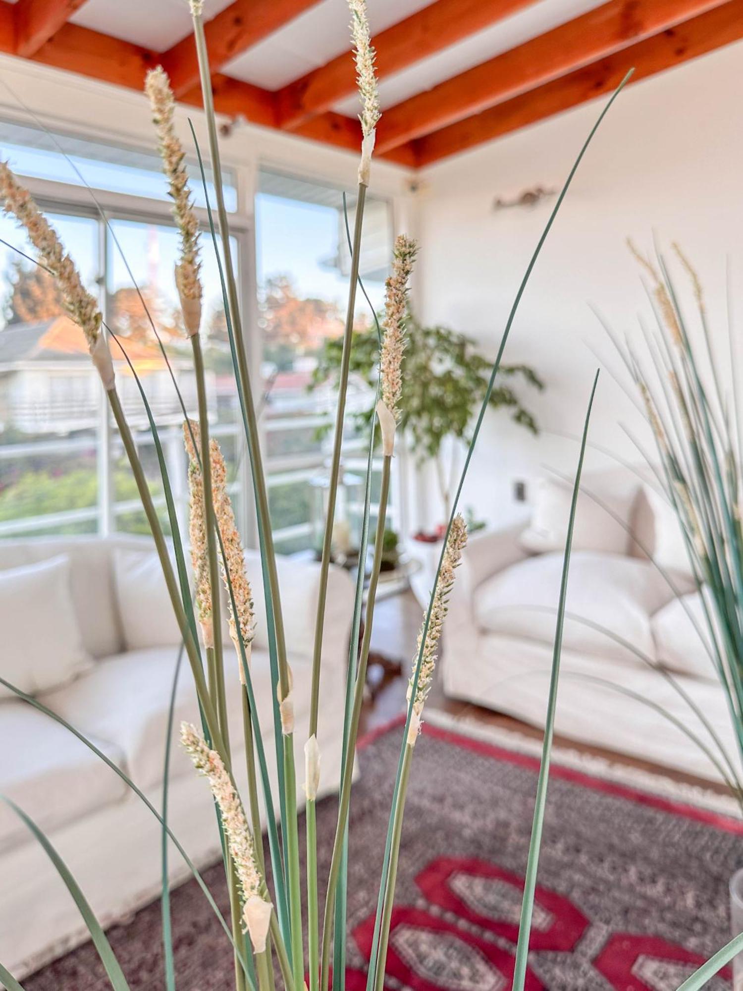 Kai Bed&Breakfast Algarrobo Exterior foto