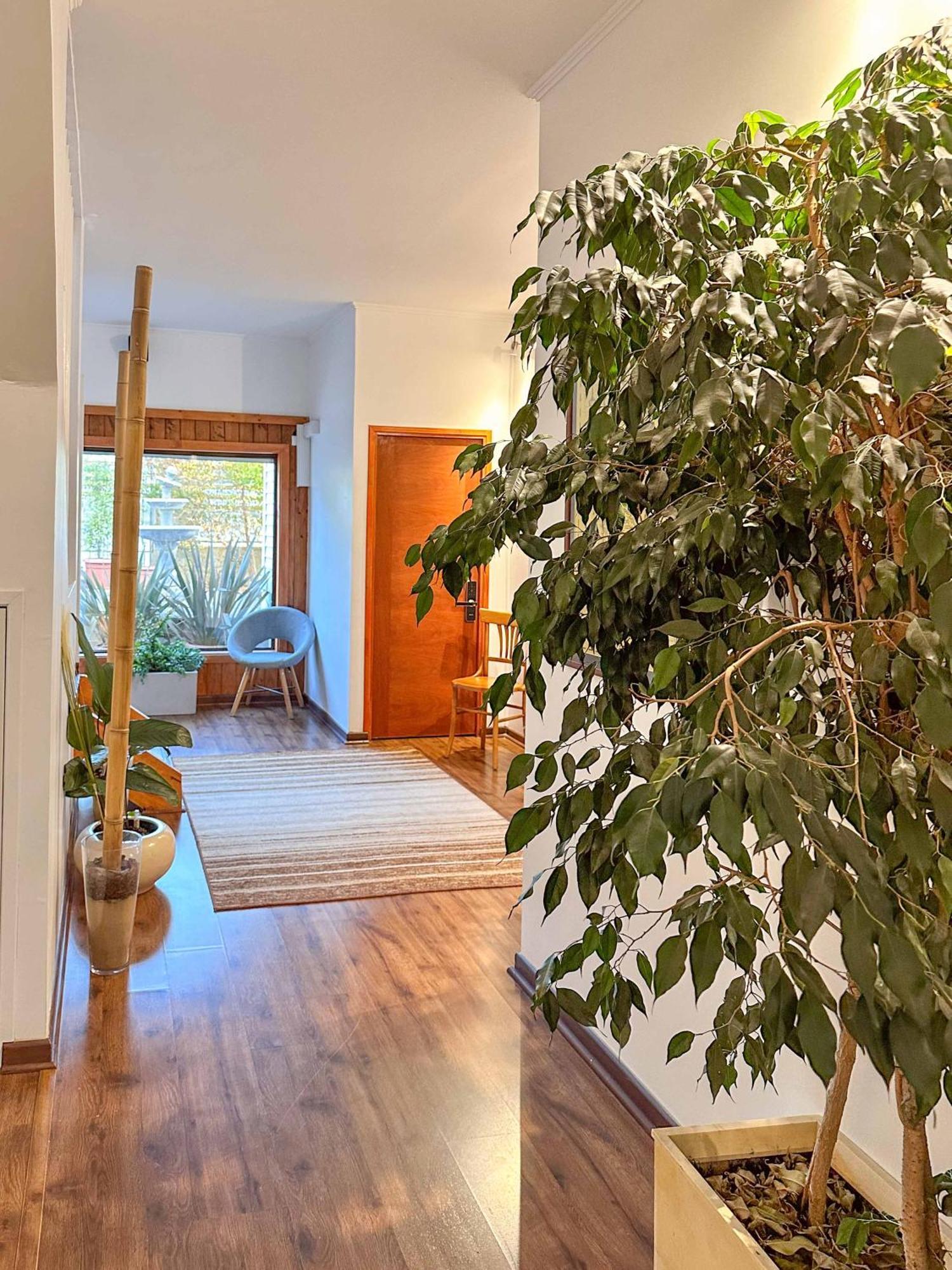 Kai Bed&Breakfast Algarrobo Exterior foto